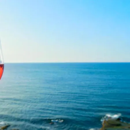 Elpida Seafront Paradise In Crete 公寓 *